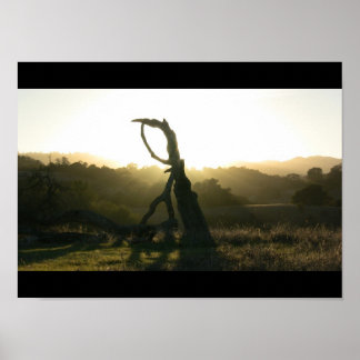 Révélation mystique - Poster