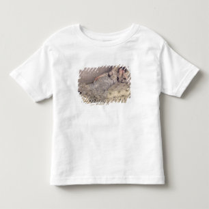 Reverie, 1903 kleinkind t-shirt