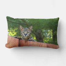Reversible Serval Savannah Katzen auf einem Kissen