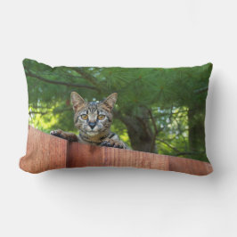 Reversible Serval Savannah Katzen auf einem Kissen
