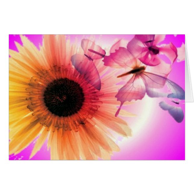 Rêves (Devant horizontal)