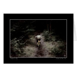 Rêves de la traînée