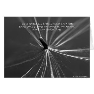 Rêves fragiles sous les pieds