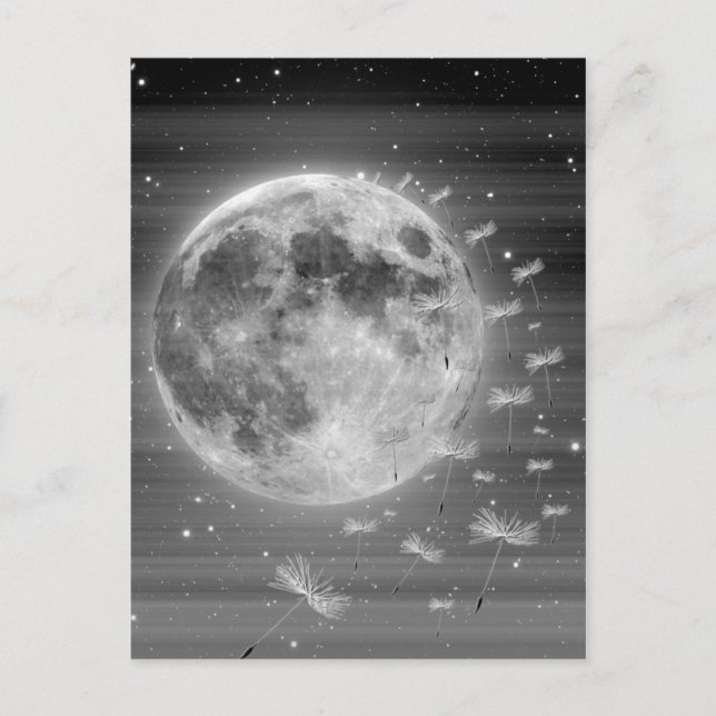 Rêves qui volent carte postale (Devant)