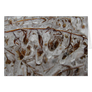 Revêtement de glace