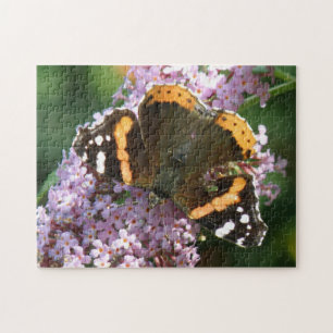 Rewd Admiral Butterfly und Blume Puzzle