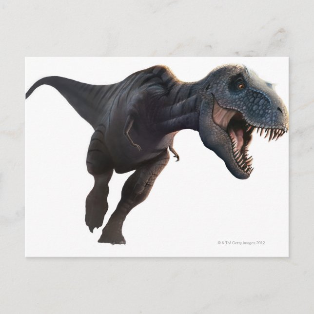 Rex 2 postkarte (Vorderseite)