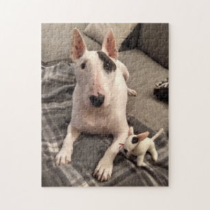 Rex et Ditto puzzle