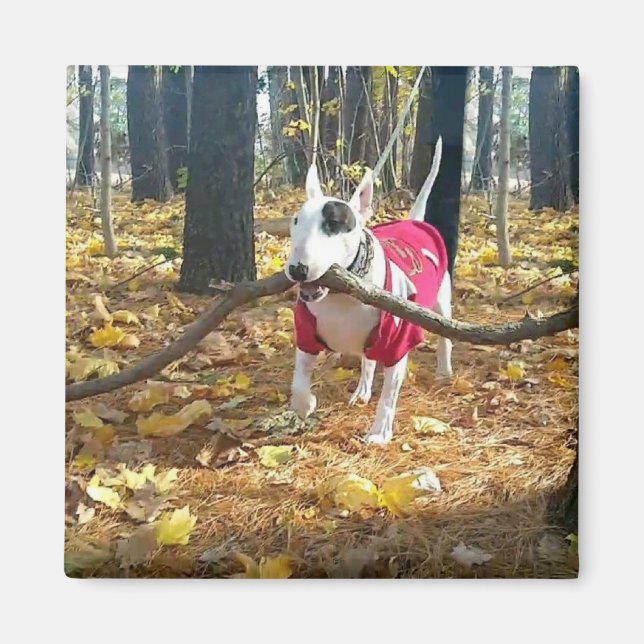 Rex Herbststift des Tages Magnet (Vorne)