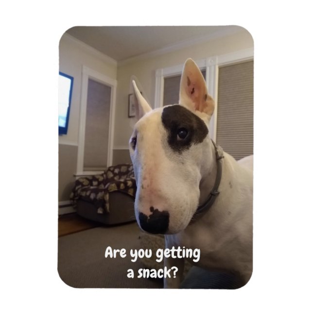 Rex La TV Terrier Réfrigérateur Magnet (Vertical)