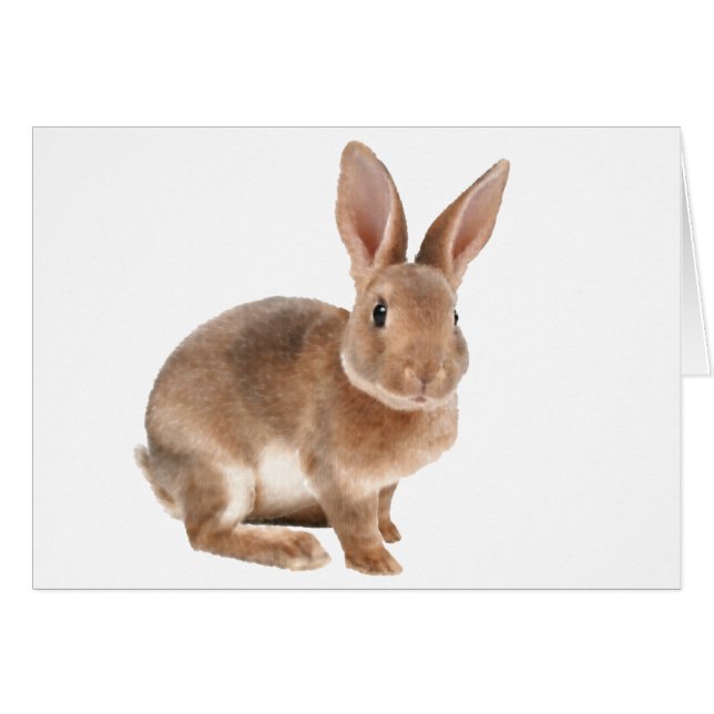 Rex Rabbit (Devant horizontal)