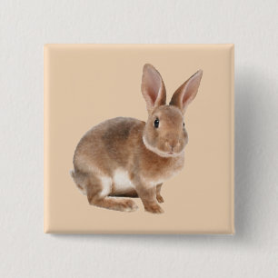Rex Rabbit Button