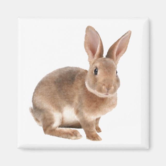 Rex Rabbit Magnet (Vorne)