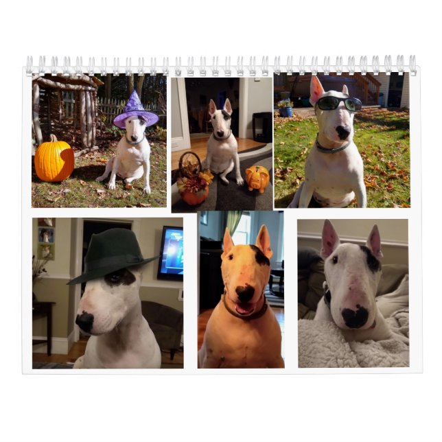Rex The TV Terrier 2020 Word Of.Le calendrier du m (Dos)