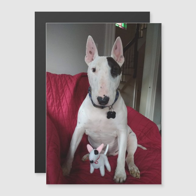 Rex the TV Terrier and Ditto magnet (Vorne/Hinten)