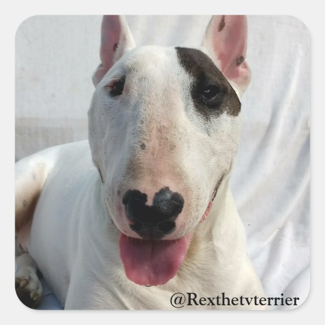 Rex the TV Terrier Aufkleber (Vorderseite)