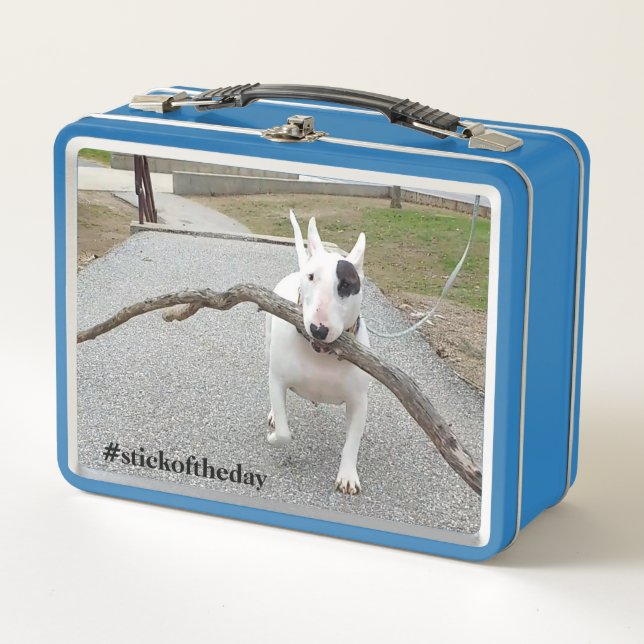 Rex The TV Terrier.Stick De La Lunchbox Du Jour (Devant)