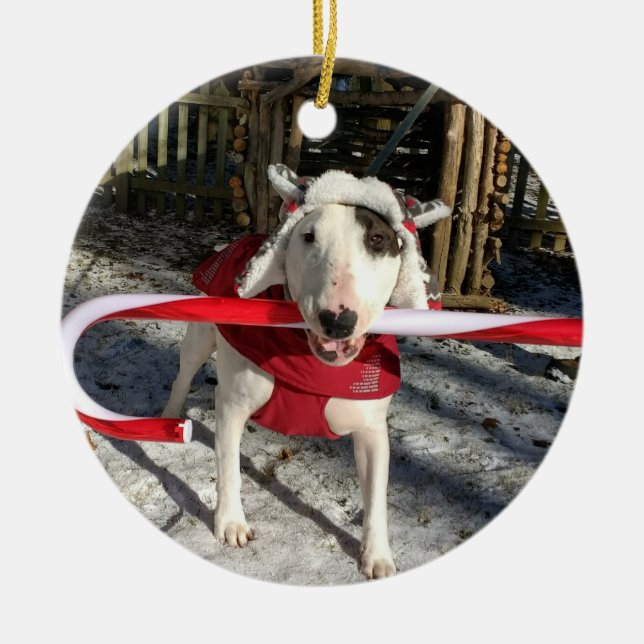 Rex the TV Terrier Weihnachtsschmuck Candy Stock (Vorne)