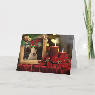 Rex-Weihnachtskarte, Kerzen und Poinsettie Karte