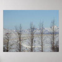 Reykjavik Island