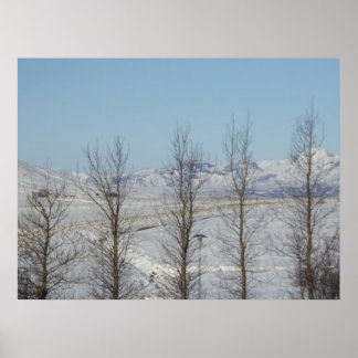 Reykjavik Island Poster