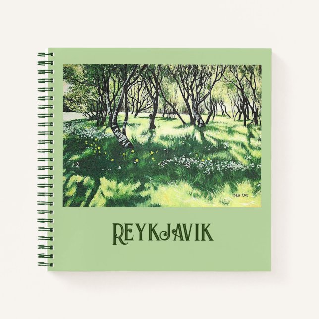 Reykjavik Islande carnet en spirale fine art par P (Devant)