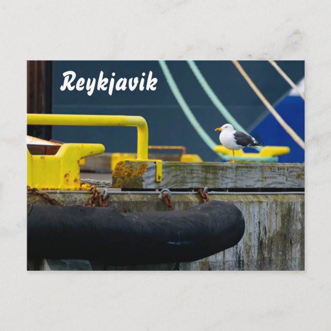 Reykjavik, isländische Postkarte (Vorderseite)