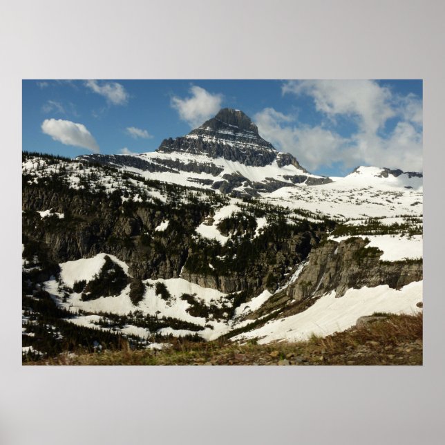 Reynolds Mountain vom Logan Pass beim Glacier Park Poster (Vorne)