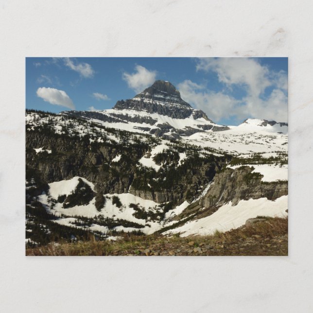 Reynolds Mountain vom Logan Pass beim Glacier Park Postkarte (Vorderseite)