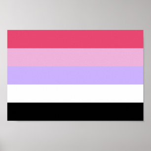 Reziprosexueller Stolz Poster