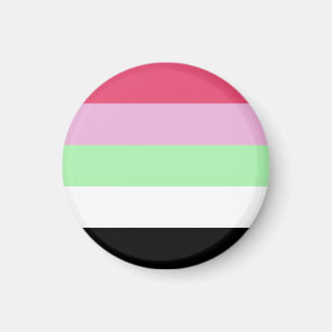 Reziprozromantische Pride-Flagge Magnet