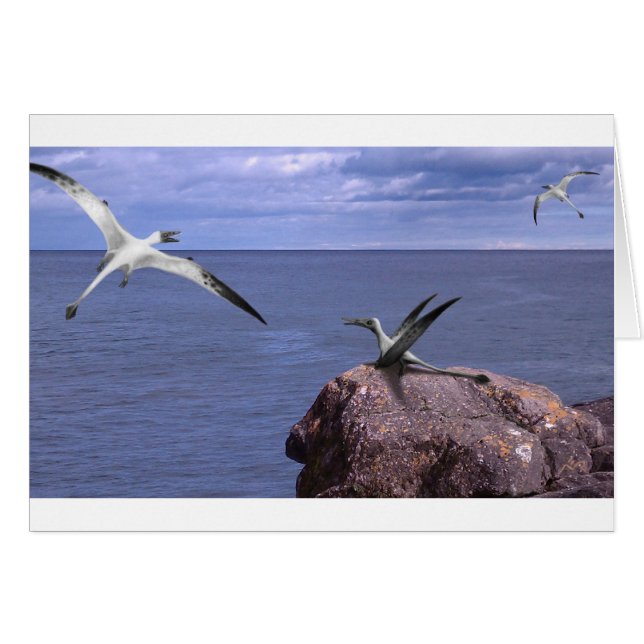 Rhamphorhynchus leere Karte (Vorderseite (Horizontal))