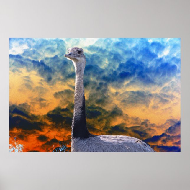 Rhea on Storm Cloud Sky Poster (Vorne)