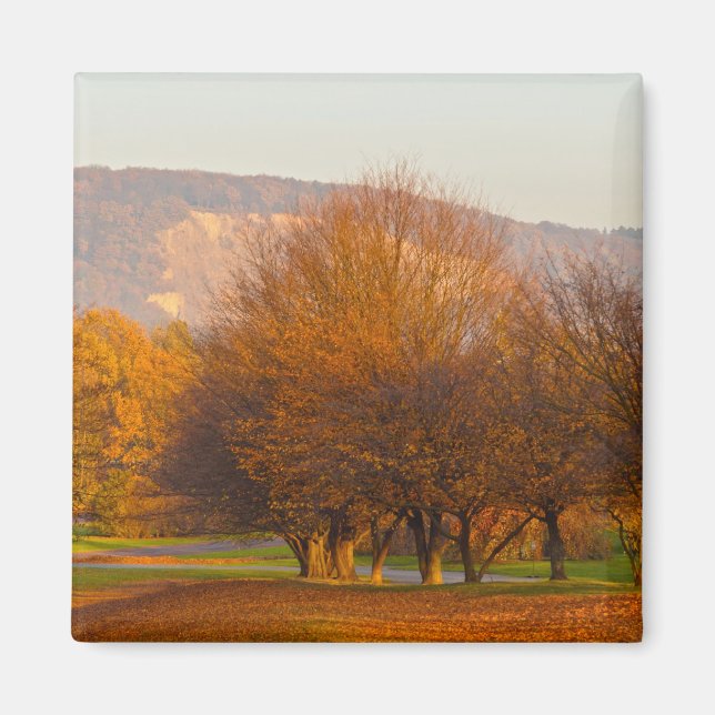 Rheinaue Park Magnet (Vorne)