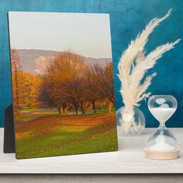 Rheinaue Park Plaque Fotoplatte (Seite)