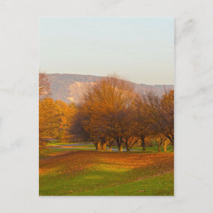 Rheinaue Park Postkarte
