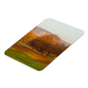 Rheinaue Park Premium Magnet