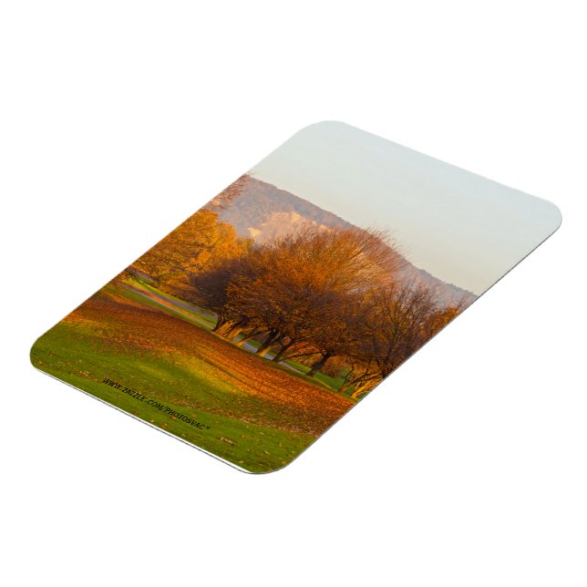 Rheinaue Park Premium Magnet (Linke Seite)