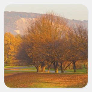 Rheinaue Park Quadratischer Aufkleber