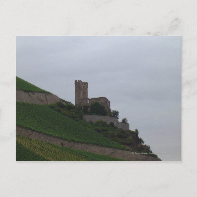Rheinschloss Postkarte (Vorderseite)