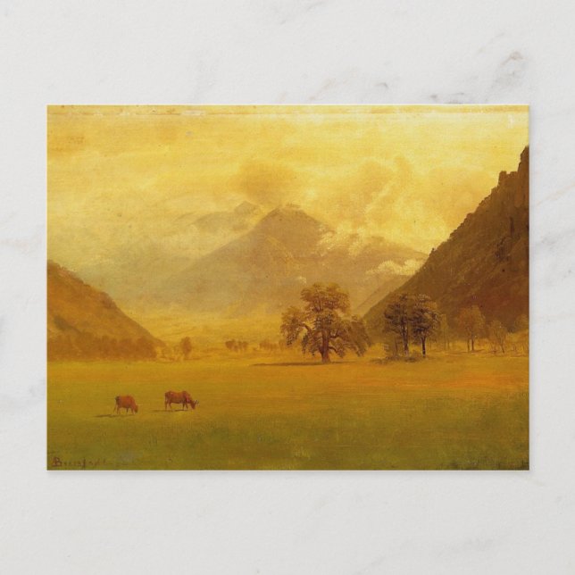 Rheintal Postkarte (Vorderseite)