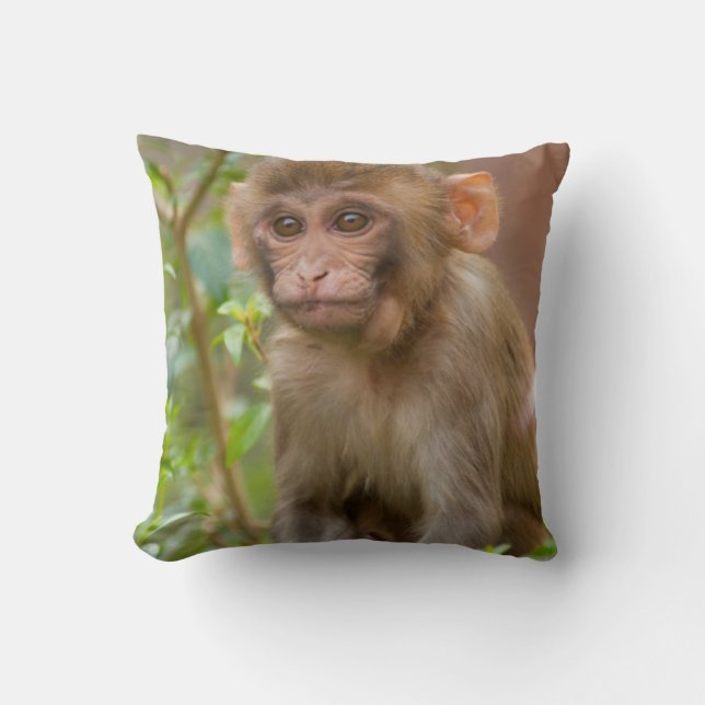 Rhesus Monkey Baby, Monkey Temple, Jaipur Kissen (Vorderseite)