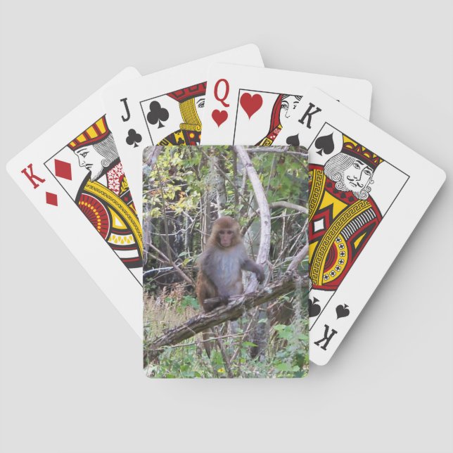 Rhesusfaktor 001a Macaqueaffe Spielkarten (Rückseite)
