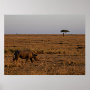 Rhino at Dusk - Poster d'Art de Mur de la Faune af