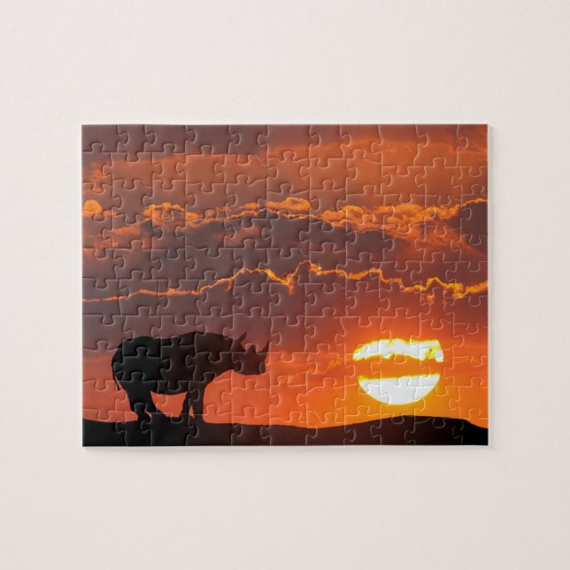Rhino bei Sonnenuntergang, Masai Mara, Kenia (Horizontal)