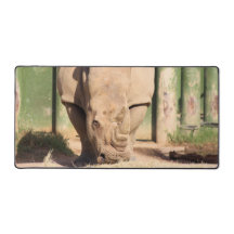 Rhino blanc
