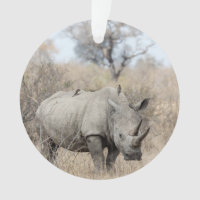 Rhino blanc
