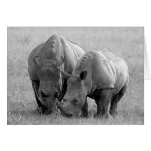 Rhino Card schwarz/weiß
