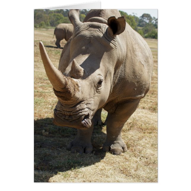 Rhino Charging (Vorne)