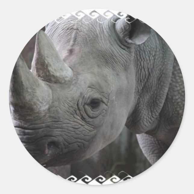 Rhino Facts Stickers (Vorderseite)